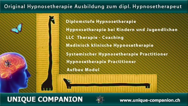 Hypnosetherapie-Ausbildung-Aufbau