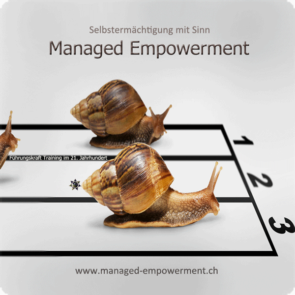 Managed Empowernet,Training,Ausbildung,Weiterbildung,Lernen,Führungskräfte